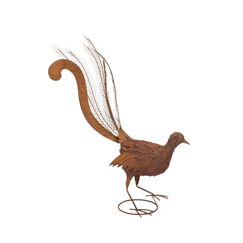 Rusty Metal Lyrebird Garden Statue