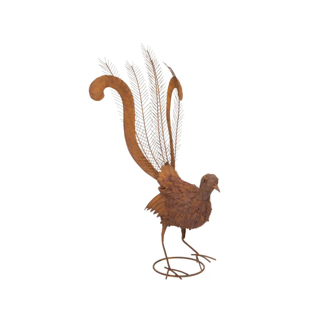 Rusty Metal Lyrebird Garden Statue
