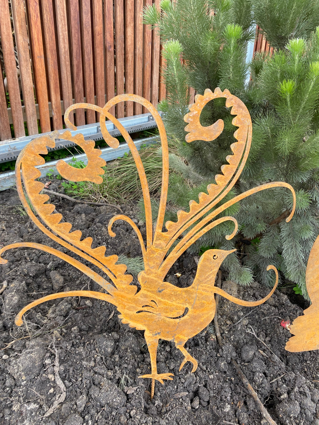 Lyrebird corten metal garden stake image 1
