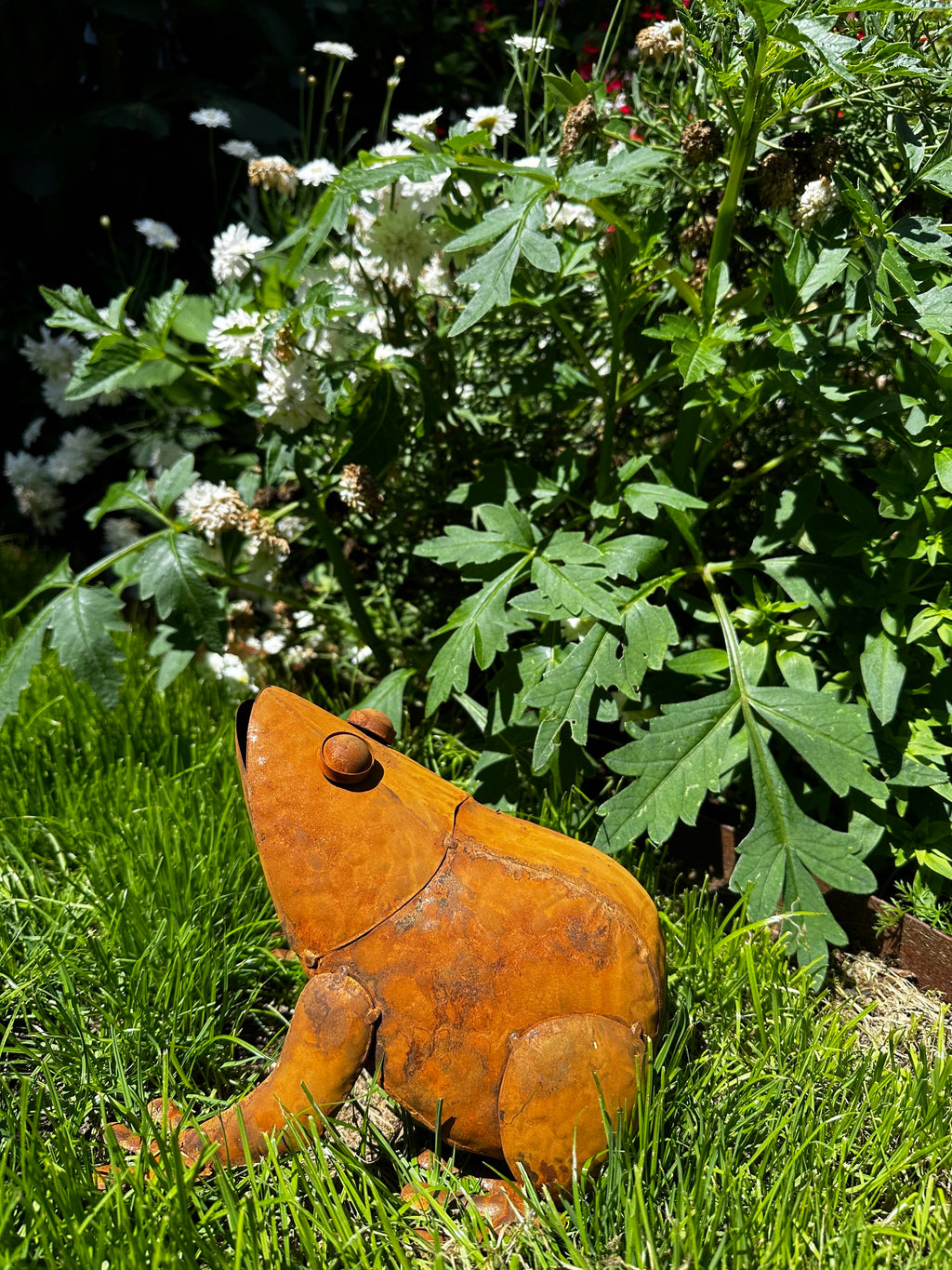 Large Rusty Metal Frog Garden Statue image 5