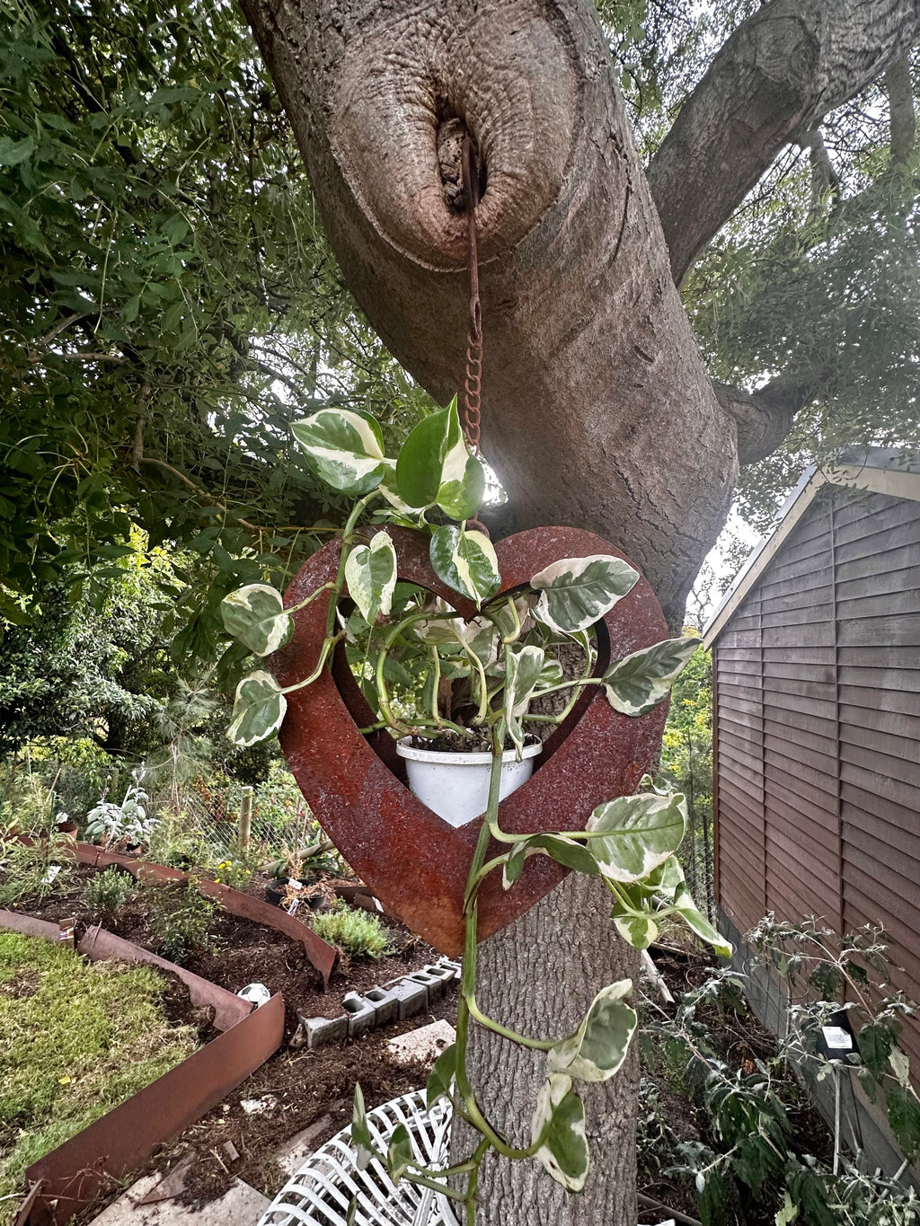 Rusty hanging heart planter  image 2