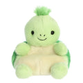 Palm Pals - Tiny Turtle image 0