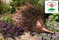 Copper Metal Echidna Sculpture image 0
