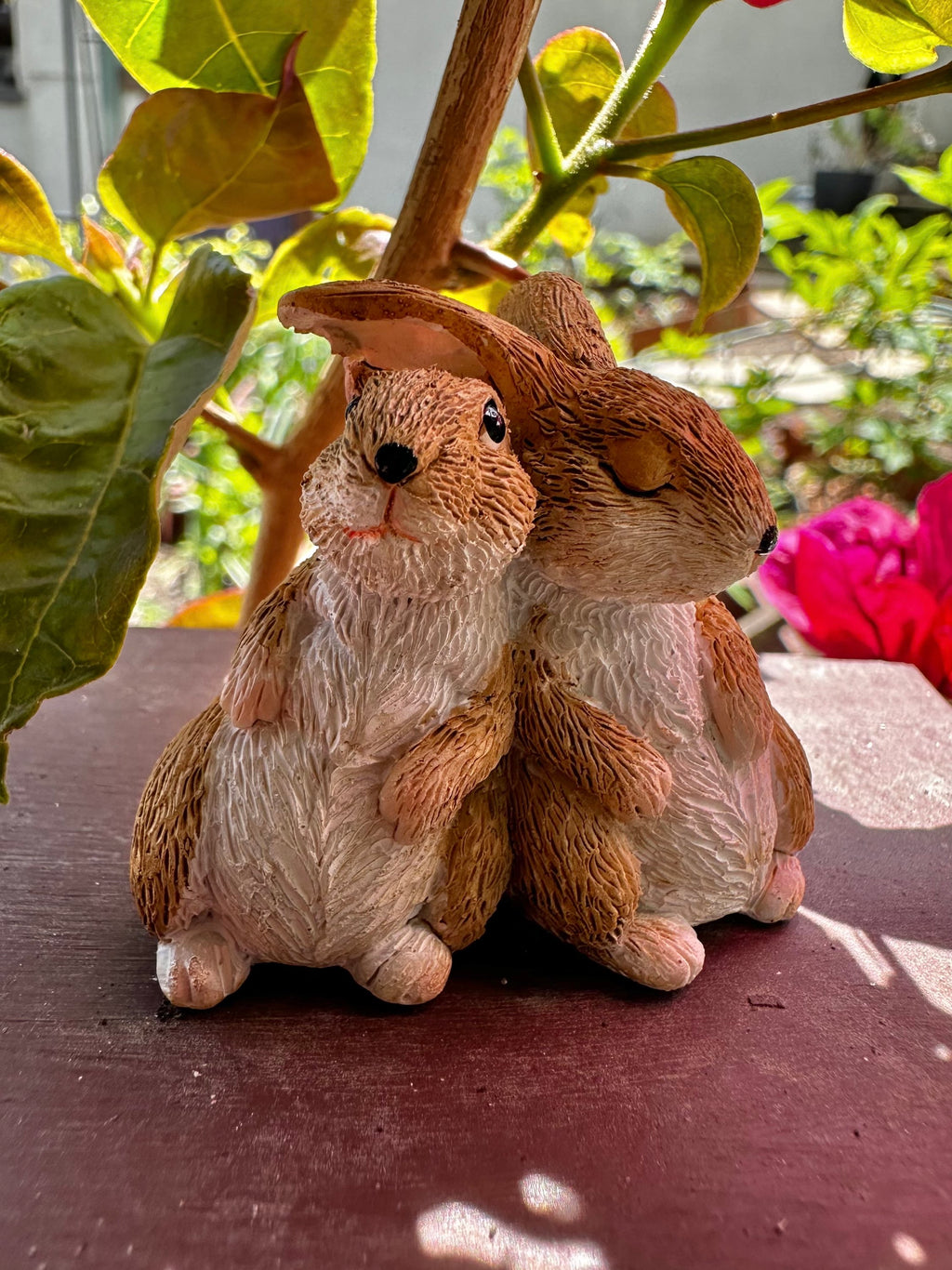 Miniature rabbits bunny image 0