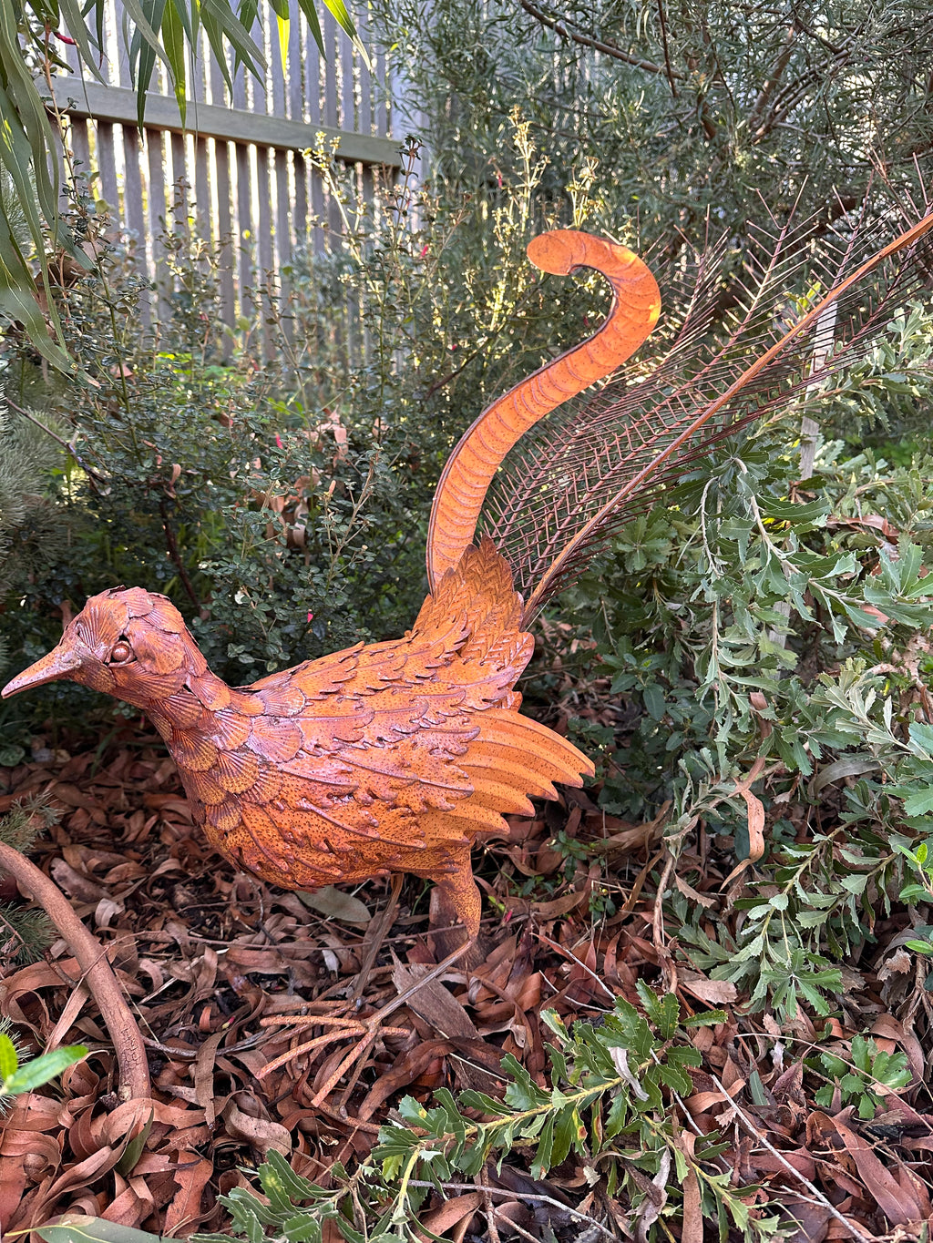 Rusty Metal Lyrebird Garden Statue