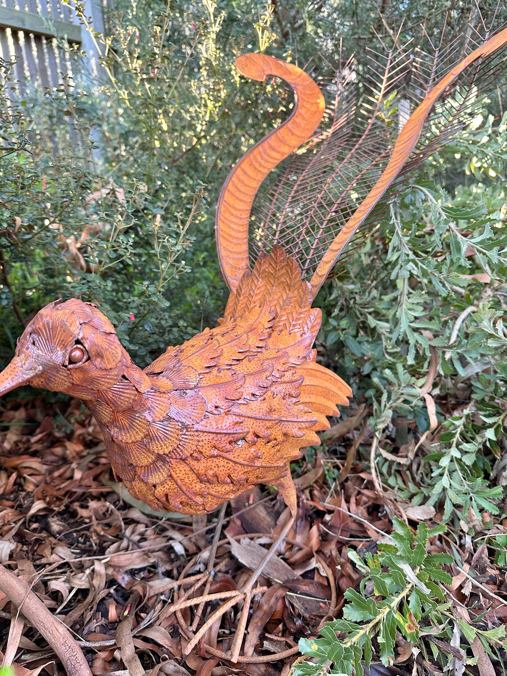 Rusty Metal Lyrebird Garden Statue