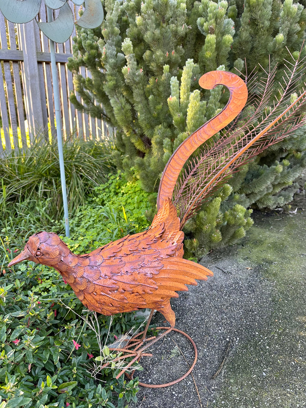 Rusty Metal Lyrebird Garden Statue