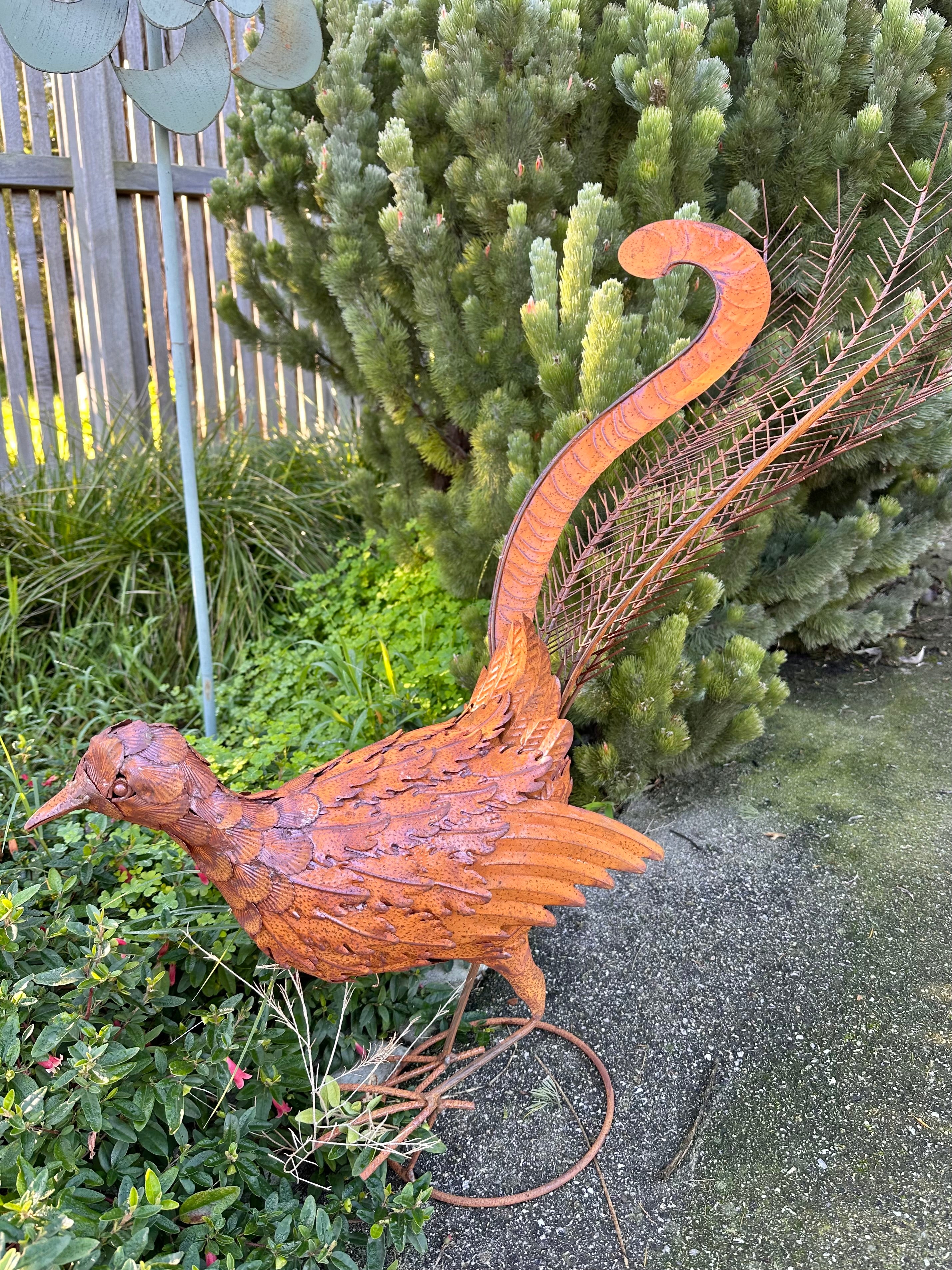 Rusty Metal Lyrebird Garden Statue