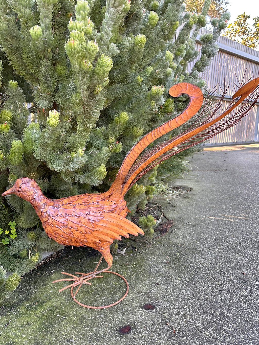 Rusty Metal Lyrebird Garden Statue