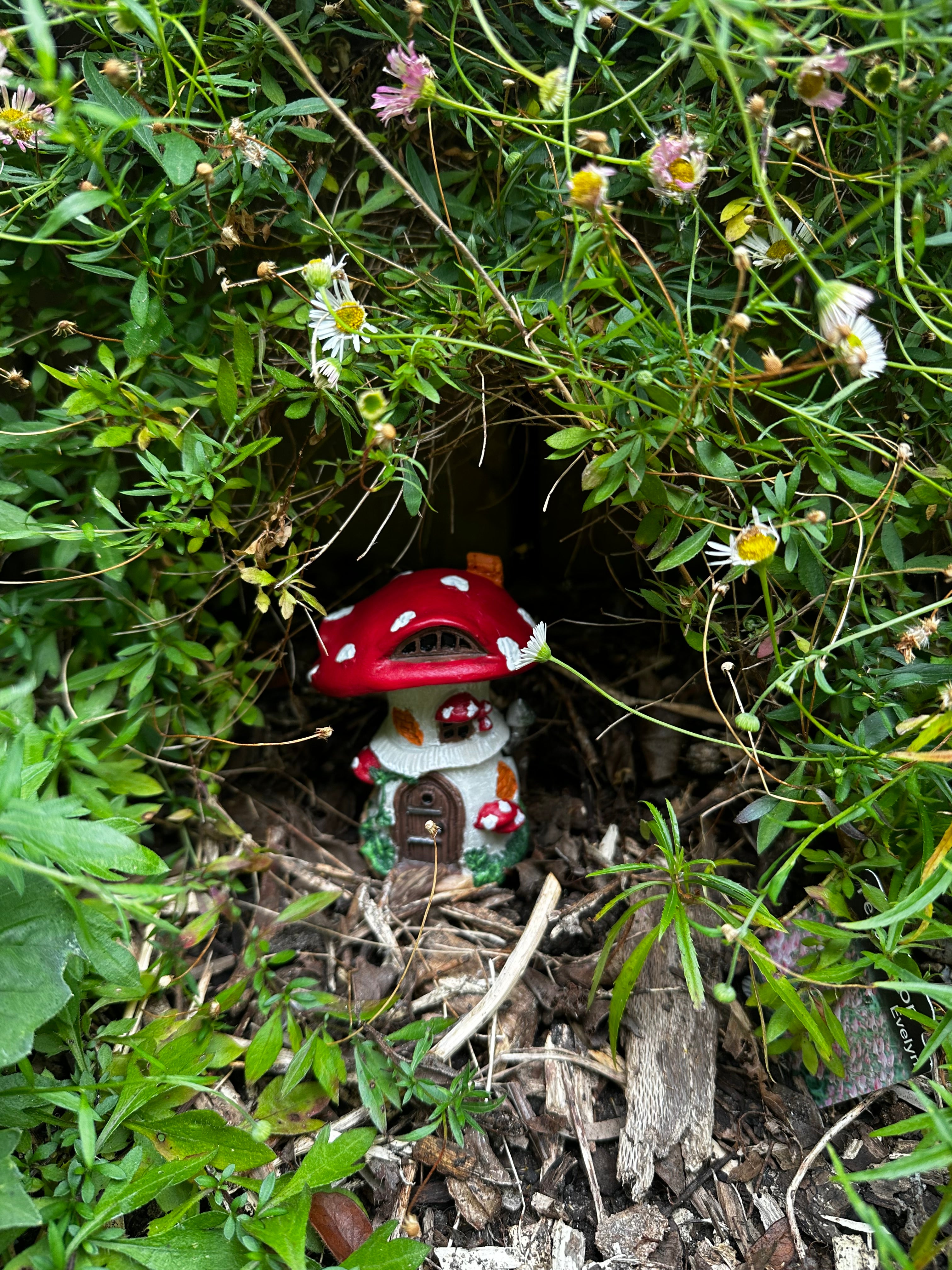 Miniature 10cm red mushroom fairy house