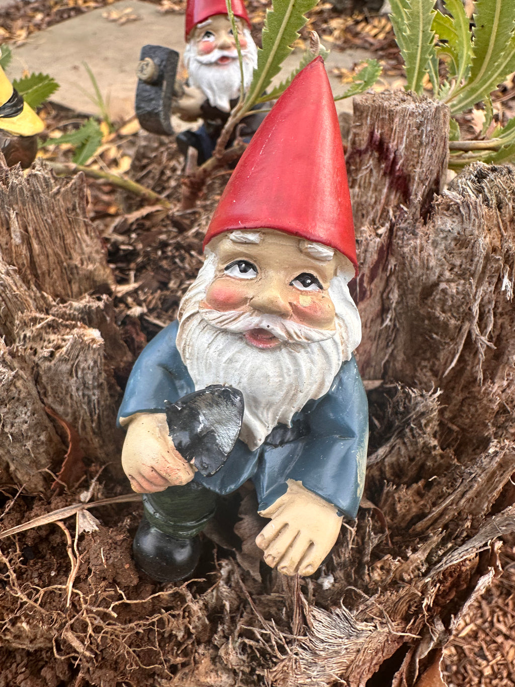 Gardening Gnome pot sitters image 1