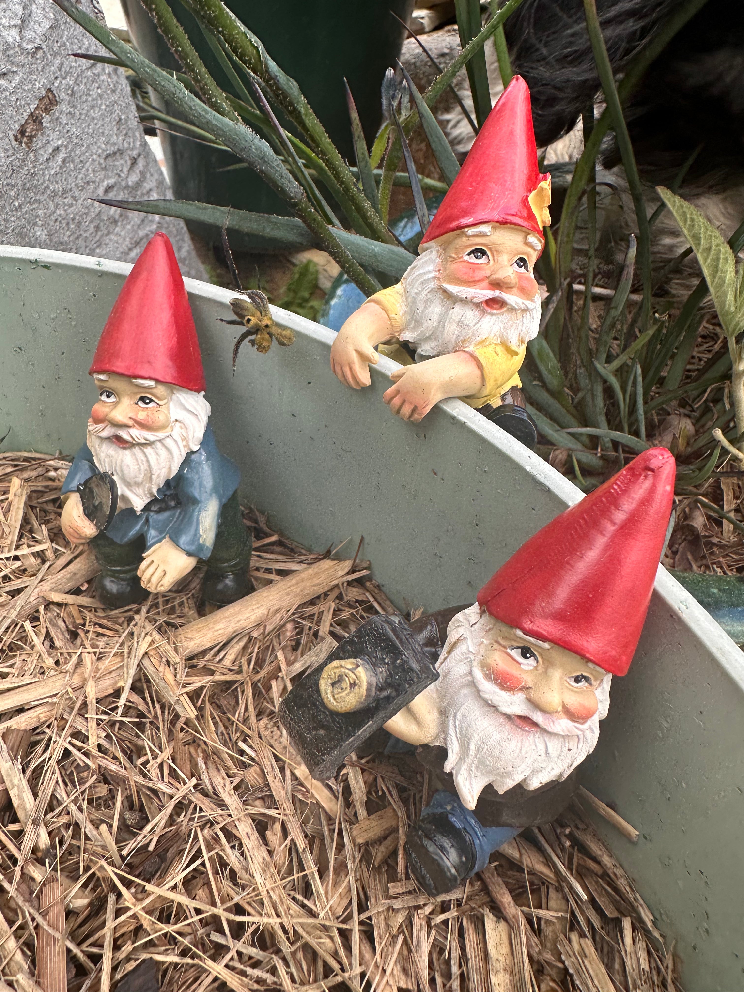 Gardening Gnome pot sitters image 5