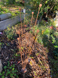 Rustic Knobby Club Rush Kinetic Garden Art image 0