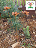 Rustic Daisy Spray Kinetic Garden Art image 0