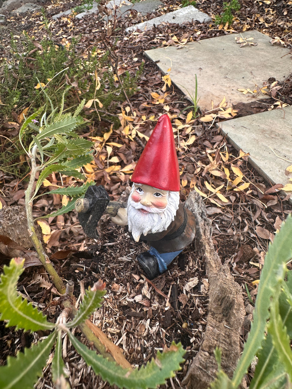 Gardening Gnome pot sitters image 3