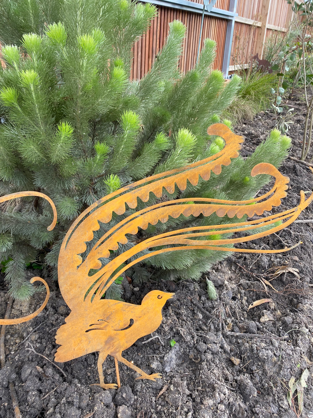 Lyrebird corten metal garden stake image 2